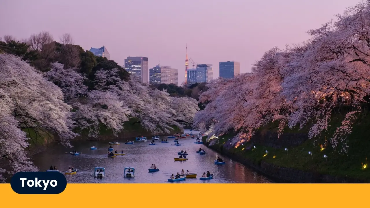 Tokyo (1)