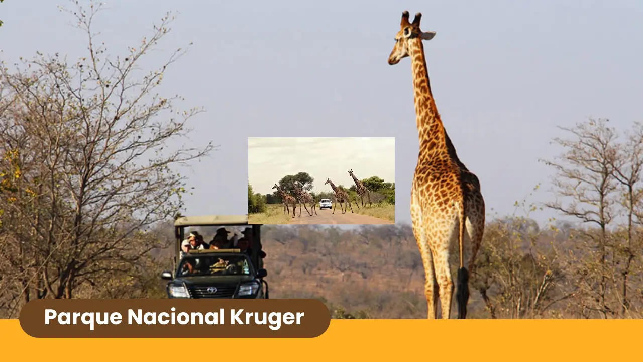 Parque Nacional Kruger