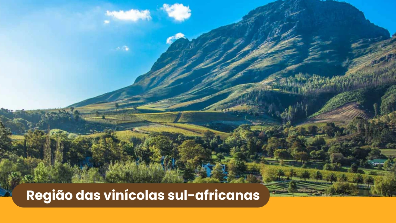 Região das vinícolas sul-africanas